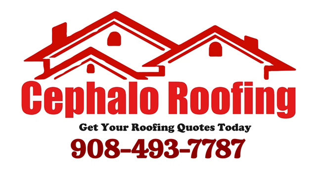 Storm Damage Roofing Logo